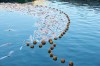 magic_valley_3.jpg