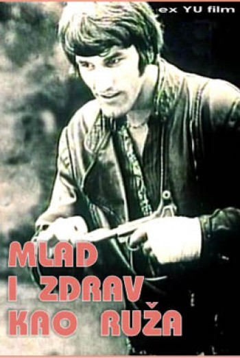 Mlad i zdrav kao ruža