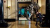 nightatthemuseum_4.jpg