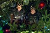 nutcracker4.jpg