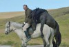 of-horses-and-men.jpg