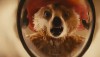 paddington-2014-scene.jpg