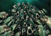 piranha-3dd-trailer.jpg