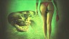 piranhaconda_main-11.jpeg