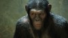 planet-of-the-apes-4.jpg