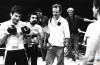 raging-bull-1.jpg