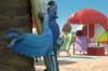 rio-movie-1.jpg