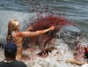 sharkattack.jpg