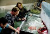 sharknado-06.jpg
