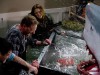 sharknado-2-the-second-one1.jpg