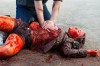 sharknado-shark-marathon-syfy-1.JPG
