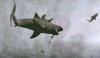 sharknado-teaser.jpg