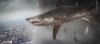 sharknado2c.jpg
