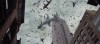 sharknado2d.jpg
