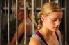 shemonkeys-5.jpg