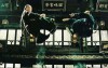 tai-chi-0a.jpg