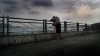 three-monkeys4.jpg