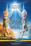 tinker_bell_secret_of_the_wings_poster.jpg