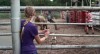 trailer-stop-the-pounding-heart-14404.jpg