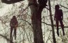 treehouse3.jpg