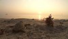 turtle.the.incredible.journey-2.jpg