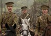 war-horse-2.jpg
