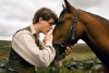 warhorse1.jpg