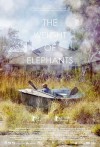 weight_of_elephants.jpg