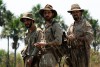 xingu1.jpg