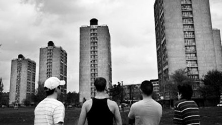 Urbane zebre