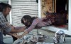 zombies27tvf-1-web.jpg